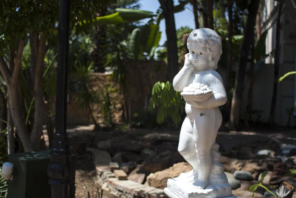Summerview Guest Lodge Johannesburg Bagian luar foto