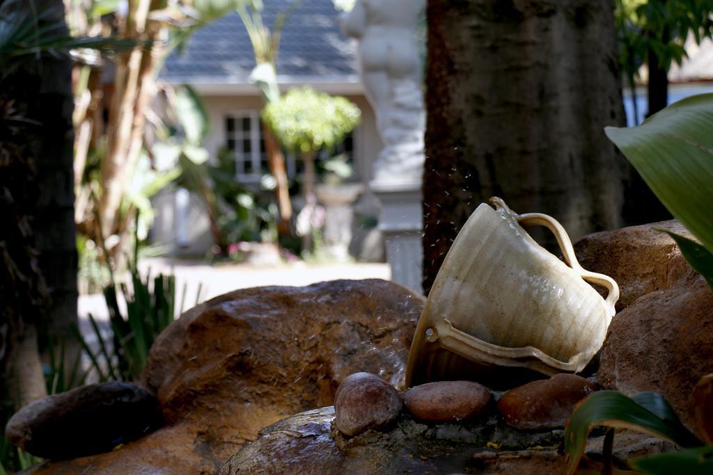 Summerview Guest Lodge Johannesburg Bagian luar foto