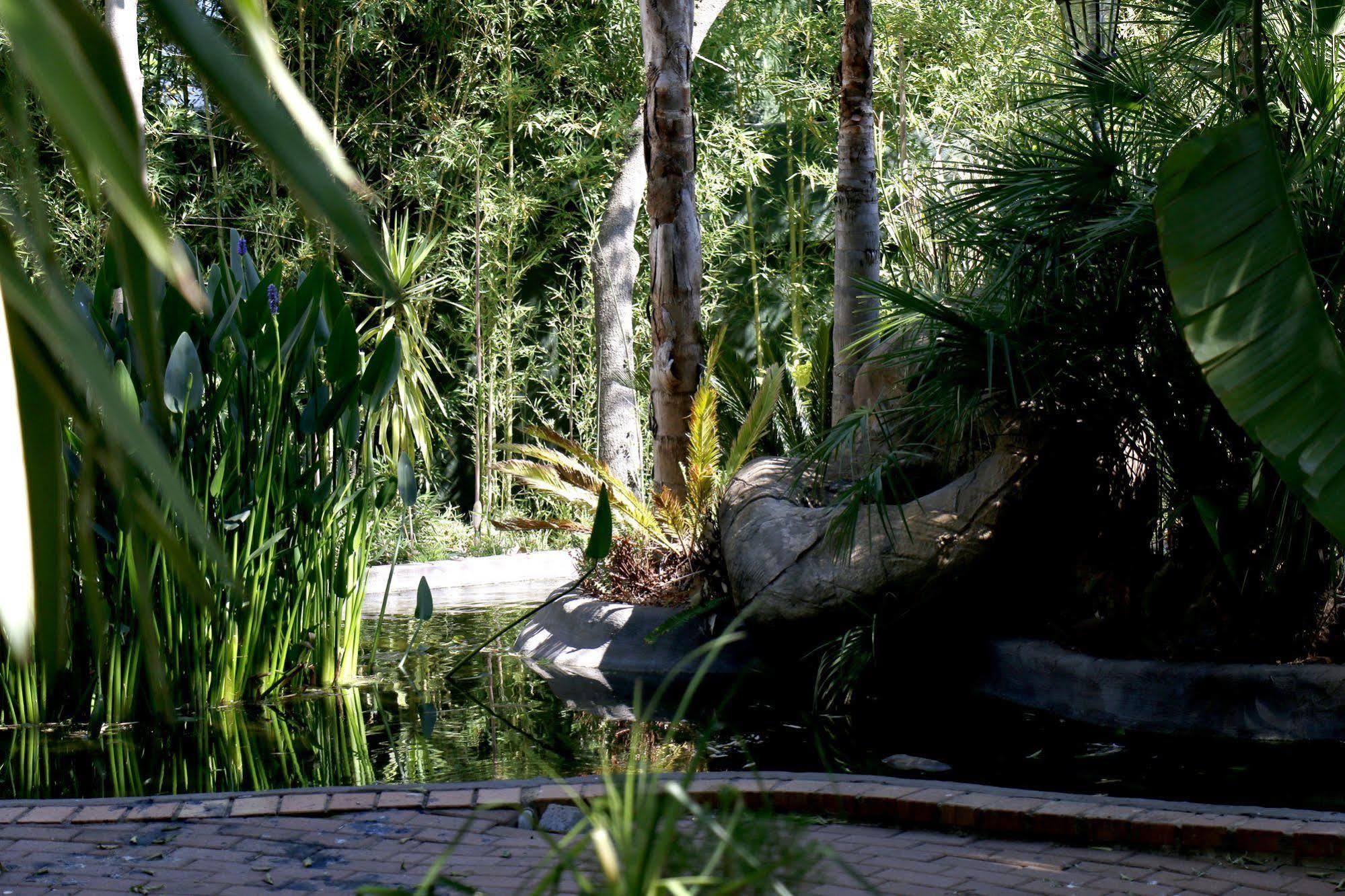 Summerview Guest Lodge Johannesburg Bagian luar foto